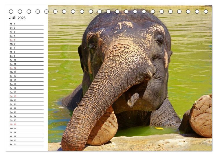 Produktbild: Elefanten - Wasserspa&szlig; am Strand (Tischkalender 2026 DIN A5 quer), CALVENDO Monatskalender
