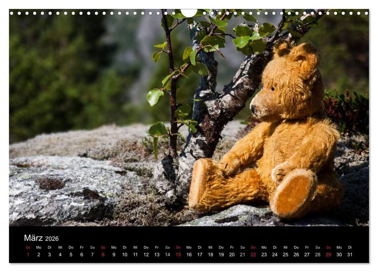 Produktbild: Teddy Basse, Fortsetzung... (Wandkalender 2026 DIN A3 quer), CALVENDO Monatskalender
