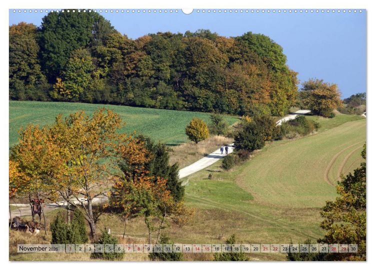Produktbild: Der Hainich in Th&uuml;ringen - Weltnaturerbe (Wandkalender 2026 DIN A2 quer), CALVENDO Monatskalender