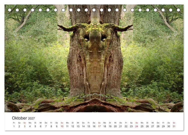 Produktbild: Spiegelwelten - Natur anders sehen (Tischkalender 2027 DIN A5 quer), CALVENDO Monatskalender