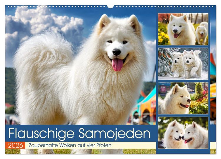 Produktbild: Flauschige Samojeden. Zauberhafte Wolken auf vier Pfoten (Wandkalender 2026 DIN A2 quer), CALVENDO Monatskalender