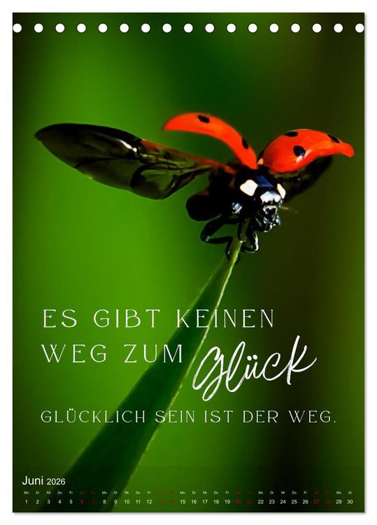Produktbild: ICH W&Uuml;NSCHE DIR GL&Uuml;CK - 12 Monate mit inspirierenden Gl&uuml;ckszitaten (Tischkalender 2026 DIN A5 hoch), CALVENDO Monatskalender