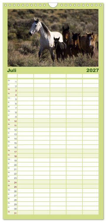 Produktbild: Familienplaner 2027 - Wilde Pferde &bull; Mustangs in USA mit 5 Spalten (Wandkalender, 21 x 45 cm) CALVENDO
