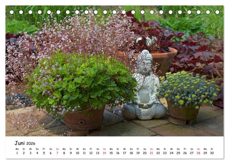 Produktbild: Mein Garten Eine Leidenschaft (Tischkalender 2026 DIN A5 quer), CALVENDO Monatskalender