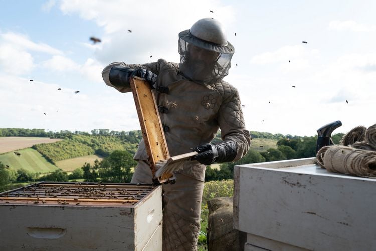Produktbild: The Beekeeper