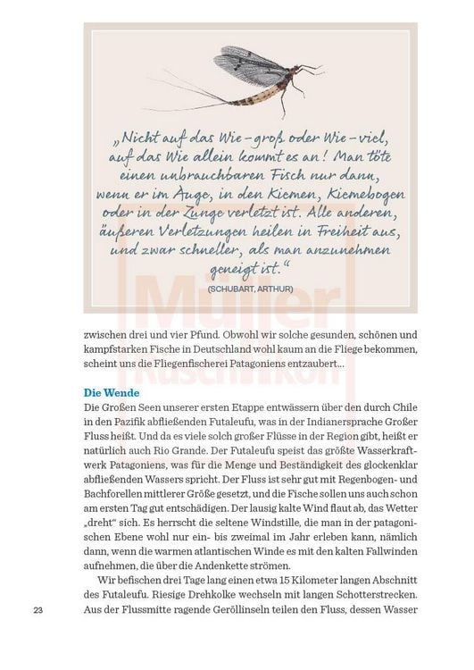 Produktbild: Melodien der Str&ouml;mung