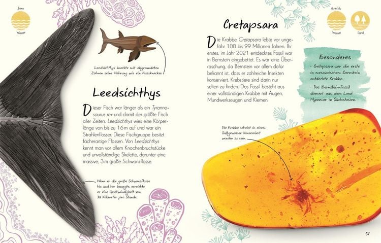 Produktbild: Wundervolle Welt - Kleine Sch&auml;tze. Fossilien