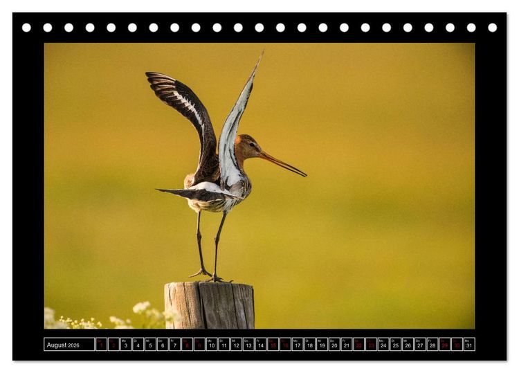Produktbild: Niederrheinische Vogelwelt (Tischkalender 2026 DIN A5 quer), CALVENDO Monatskalender