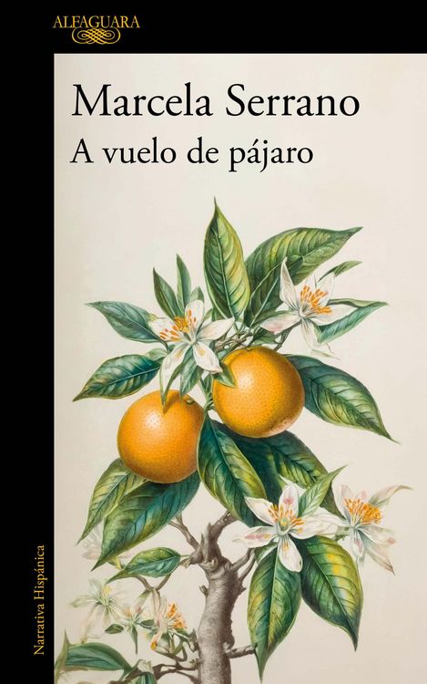 Produktbild: A Vuelo de P&aacute;jaro. Cuadernos / A Birds-Eye View