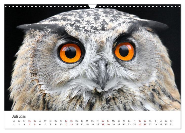 Produktbild: GREIFVOGEL- UND EULENPORTR&Auml;TS (Wandkalender 2026 DIN A3 quer), CALVENDO Monatskalender
