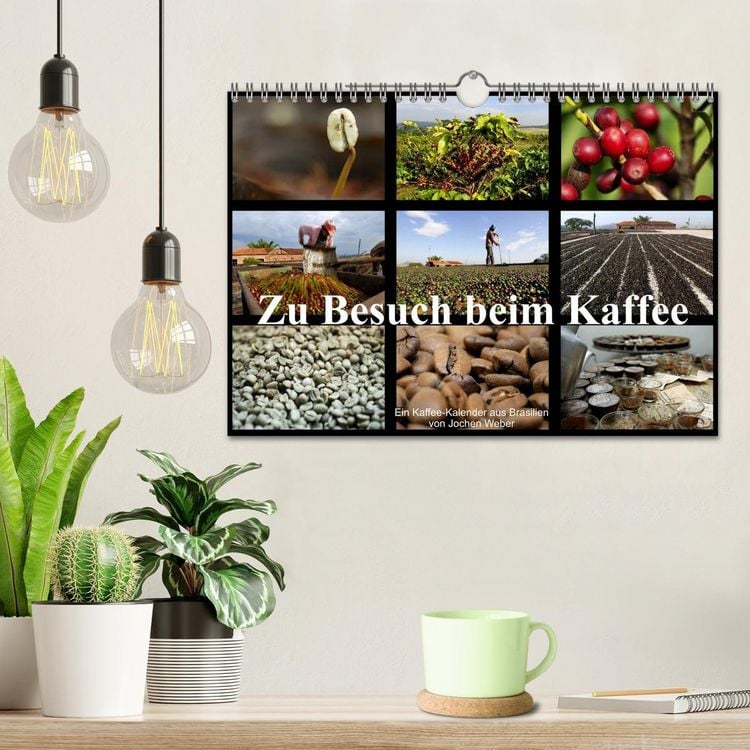 Produktbild: Zu Besuch beim Kaffee (Wandkalender 2026 DIN A4 quer), CALVENDO Monatskalender