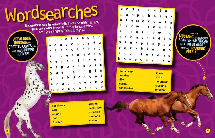 Produktbild: Ngk Puzzle Bk Horses & Ponies