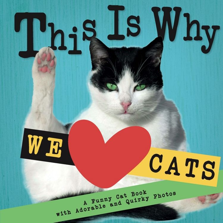 Produktbild: This Is Why We Love Cats