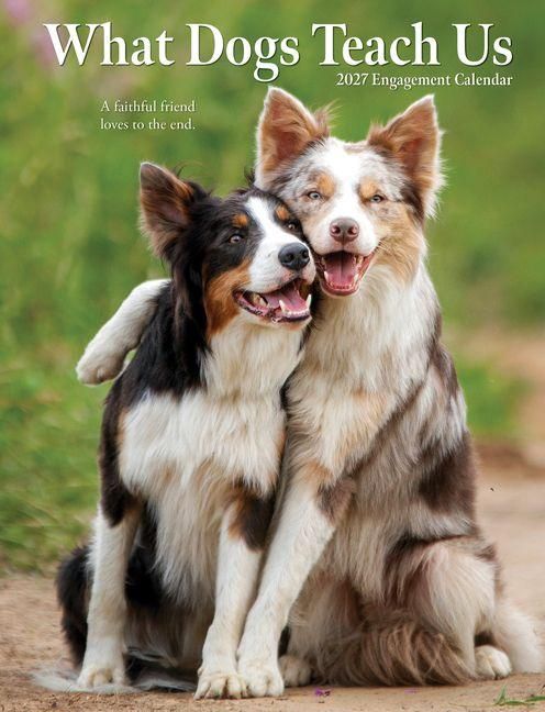 Produktbild: What Dogs Teach Us 2027 6.5 X 8.5 Engagement Calendar