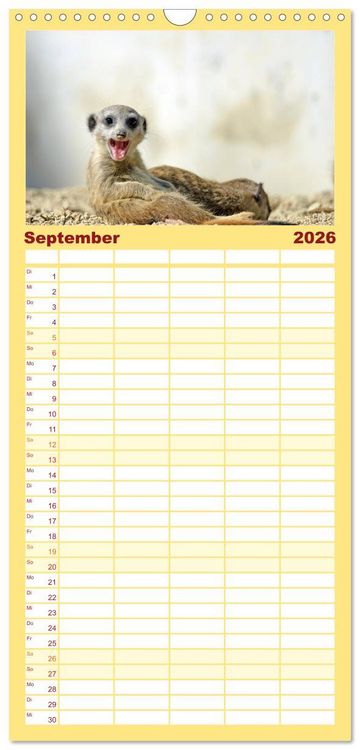 Produktbild: Familienplaner 2026 - Lustige Erdm&auml;nnchen mit 5 Spalten (Wandkalender, 21 x 45 cm) CALVENDO