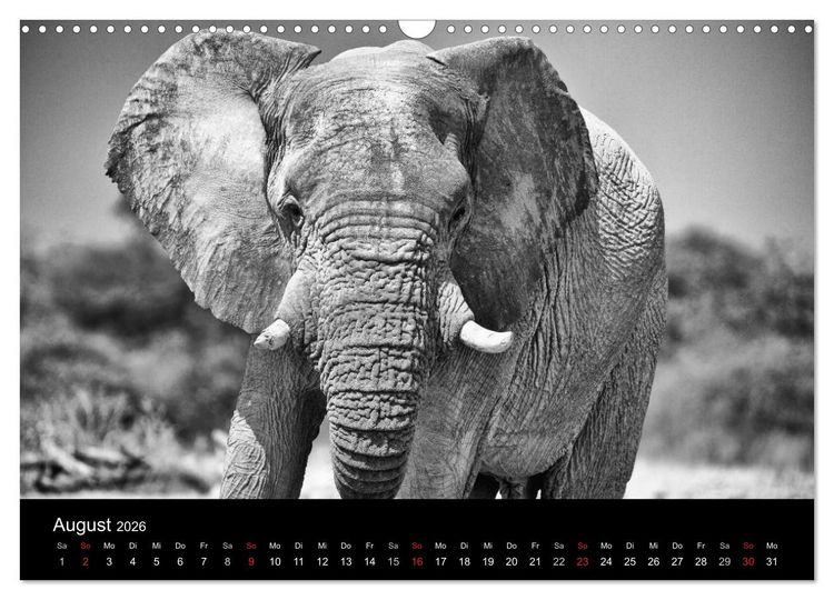 Produktbild: Elefanten Schwarz - Weiss (Wandkalender 2026 DIN A3 quer), CALVENDO Monatskalender