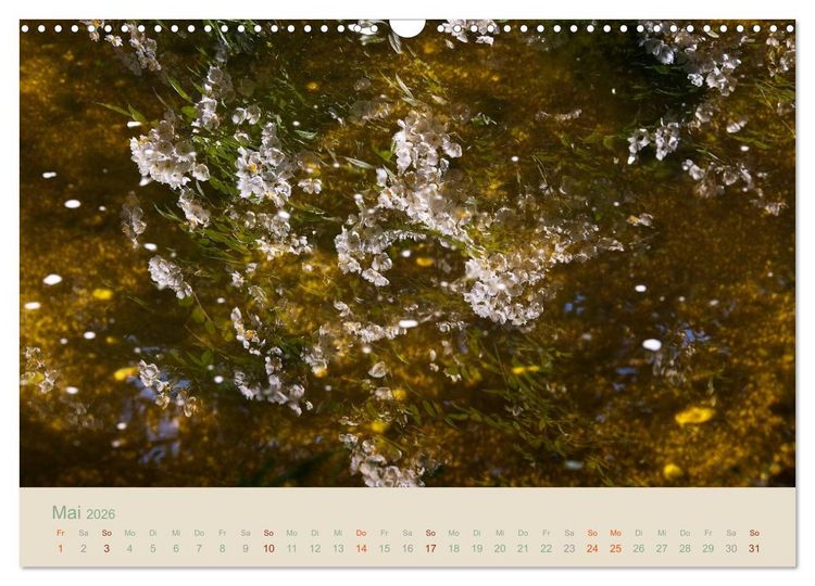 Produktbild: Gartenfl&uuml;stern (Wandkalender 2026 DIN A3 quer), CALVENDO Monatskalender