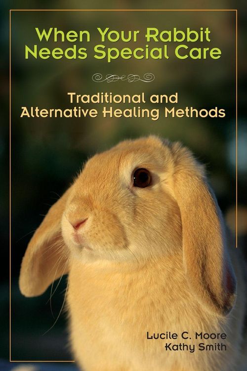Produktbild: When Your Rabbit Needs Special Care