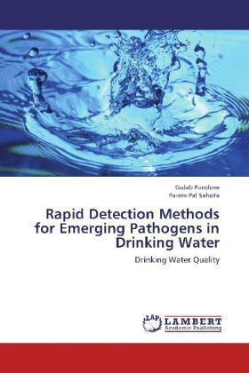Produktbild: Pandove, G: Rapid Detection Methods for Emerging Pathogens