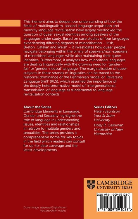 Produktbild: Queering Language Revitalisation