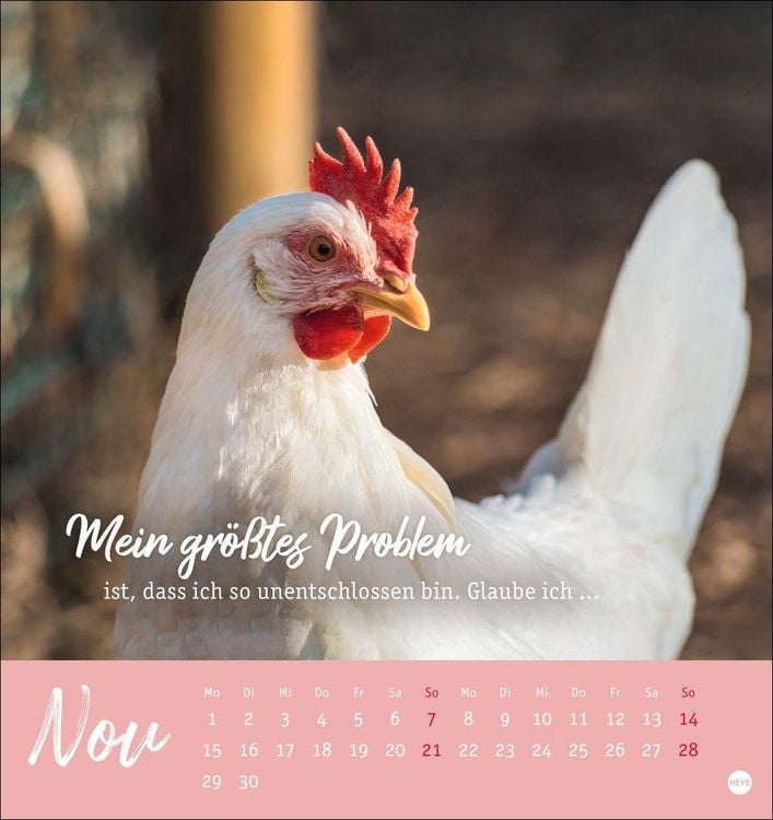 Produktbild: H&uuml;hner Postkartenkalender 2027 - Ach, du verr&uuml;cktes Huhn!