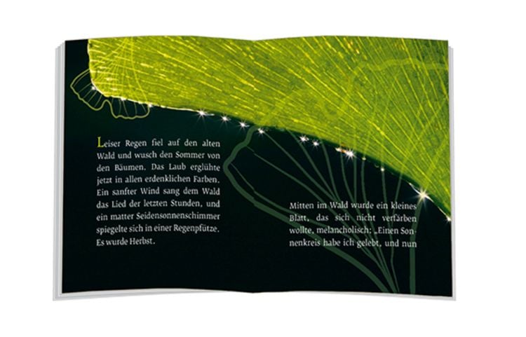 Produktbild: Das Märchen vom Ginkgoblatt