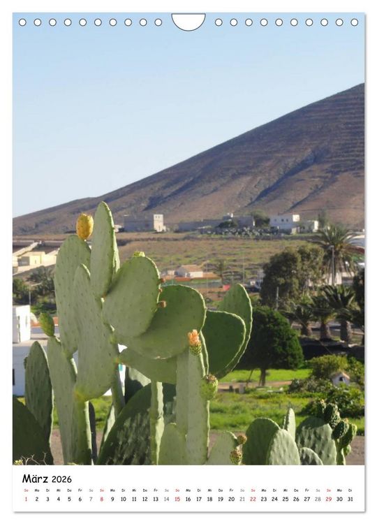 Produktbild: Fuerteventura -schlicht sch&ouml;n (Wandkalender 2026 DIN A4 hoch), CALVENDO Monatskalender