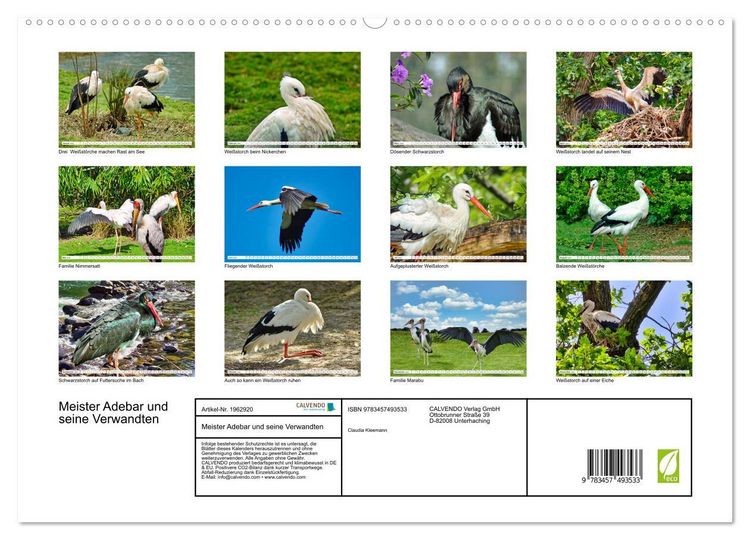 Produktbild: Meister Adebar und seine Verwandten (hochwertiger Premium Wandkalender 2026 DIN A2 quer), Kunstdruck in Hochglanz