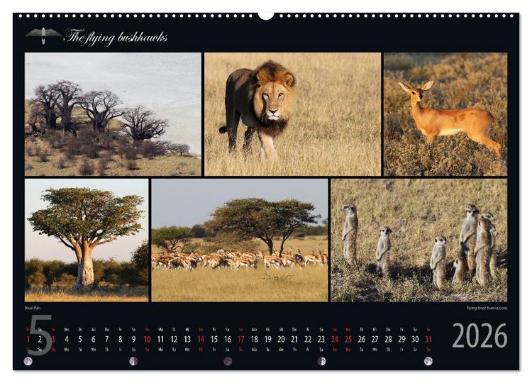 Produktbild: Botswana Blickwinkel 2026 (hochwertiger Premium Wandkalender 2026 DIN A2 quer), Kunstdruck in Hochglanz
