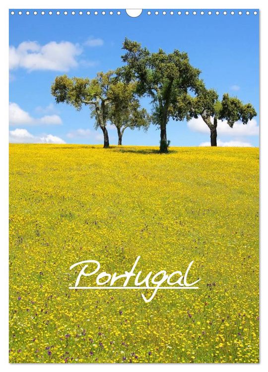 Produktbild: Portugal (Wandkalender 2026 DIN A3 hoch), CALVENDO Monatskalender