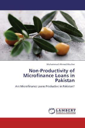 Produktbild: Ahmed Mazher, M: Non-Productivity of Microfinance Loans in P