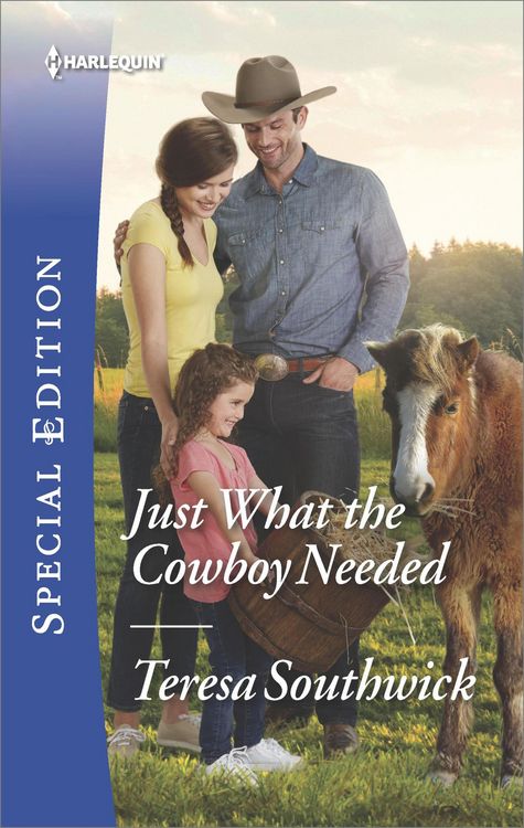 Produktbild: Just What the Cowboy Needed