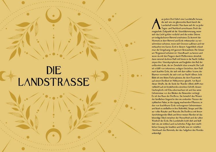 Produktbild: Kr&auml;uterkraft & Hexenmacht