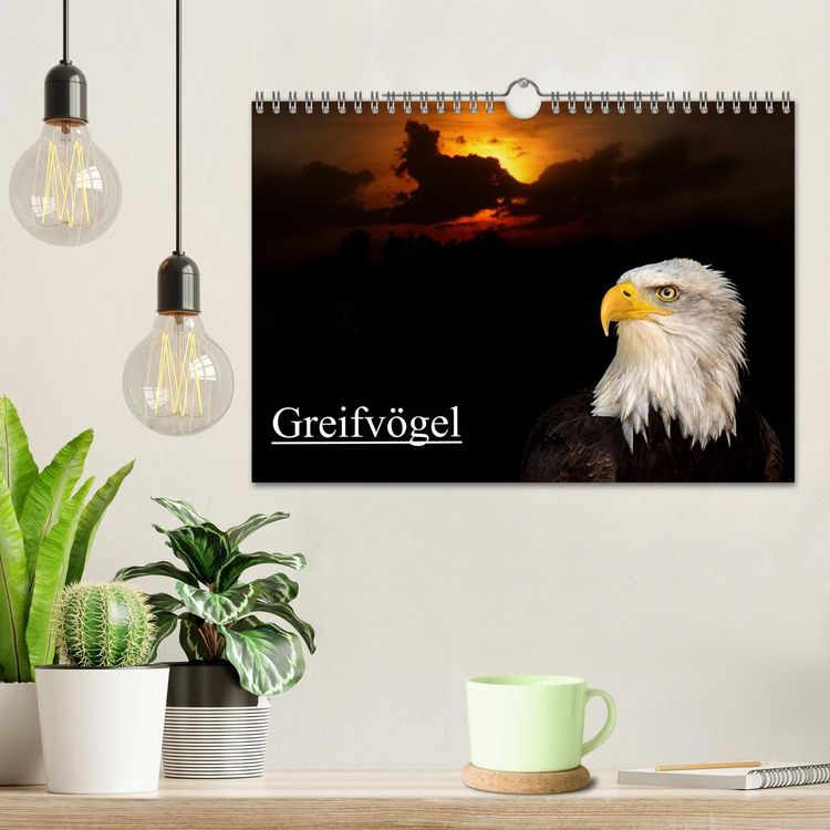Produktbild: Greifv&ouml;gel (Wandkalender 2026 DIN A4 quer), CALVENDO Monatskalender