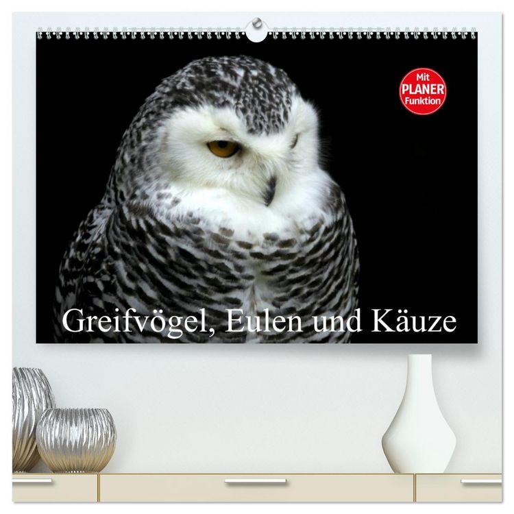 Produktbild: Greifv&ouml;gel, Eulen und K&auml;uze (hochwertiger Premium Wandkalender 2026 DIN A2 quer), Kunstdruck in Hochglanz