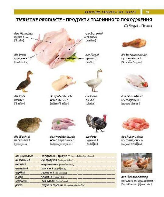 Produktbild: PONS Bildw&ouml;rterbuch Ukrainisch