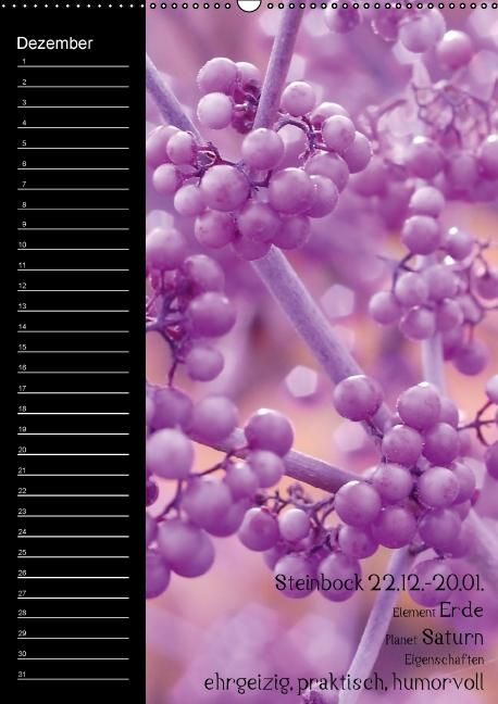 Produktbild: Naturbilder mit Sternzeichen / Geburtstagskalender (Wandkalender immerw&auml;hrend DIN A2 hoch)
