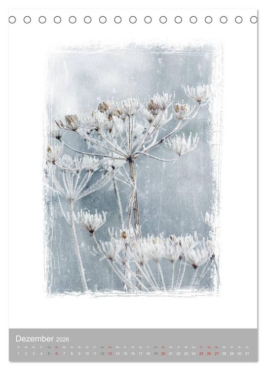 Produktbild: Kunstwerk Natur (Tischkalender 2026 DIN A5 hoch), CALVENDO Monatskalender