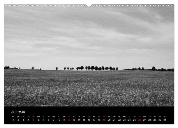 Produktbild: B&auml;ume trees 2026 (Wandkalender 2026 DIN A2 quer), CALVENDO Monatskalender