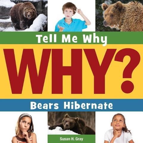Produktbild: Bears Hibernate