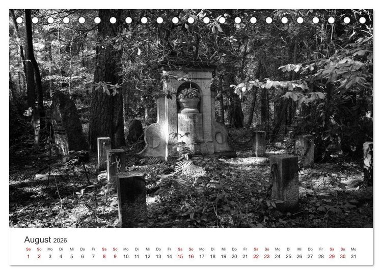 Produktbild: Wachgek&uuml;sst - Vom Zauber der Vergangenheit - S&uuml;dwestkirchhof Stahnsdorf (Tischkalender 2026 DIN A5 quer), CALVENDO Monatskalender