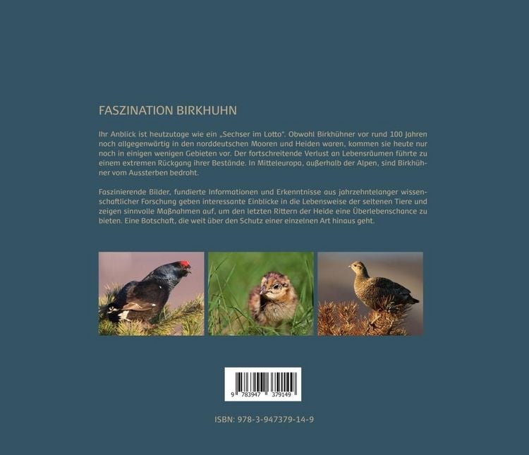 Produktbild: Faszination Birkhuhn