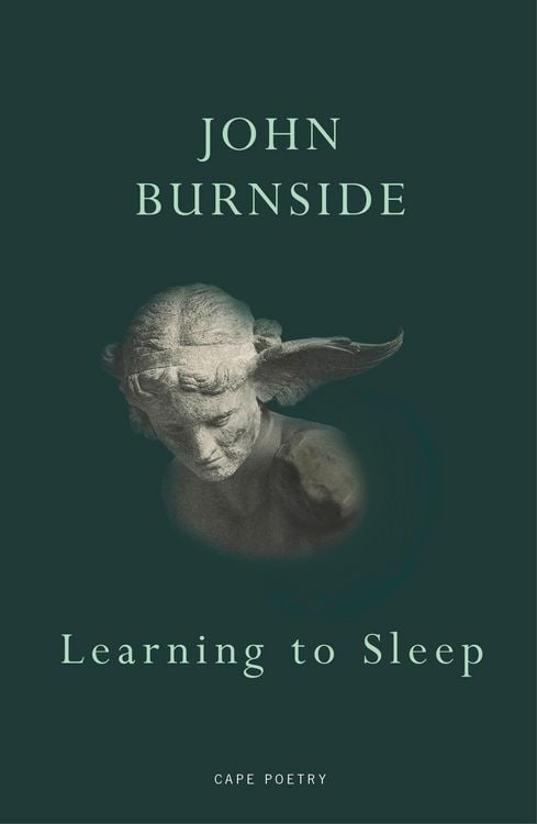 Produktbild: Learning to Sleep