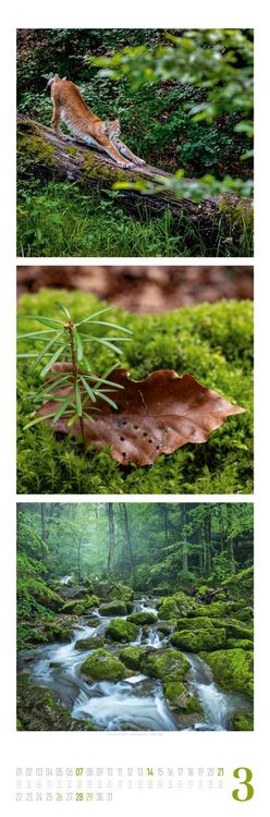 Produktbild: Nature Triplet-Kalender 2027