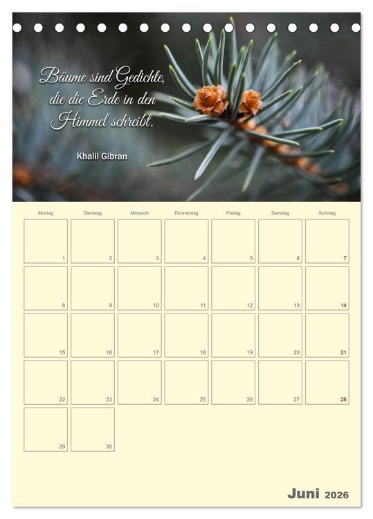 Produktbild: Gartenliebe (Tischkalender 2026 DIN A5 hoch), CALVENDO Monatskalender
