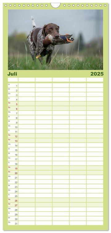 Familienplaner 2025 - Jagdhunde bei der Arbeit mit 5 Spalten (Wandkalender, 21 x 45 cm) CALVENDO