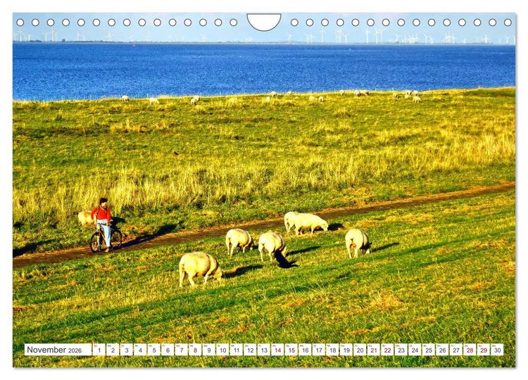 Produktbild: Am Elbdeich - Von Schiffen und Schafen (Wandkalender 2026 DIN A4 quer), CALVENDO Monatskalender