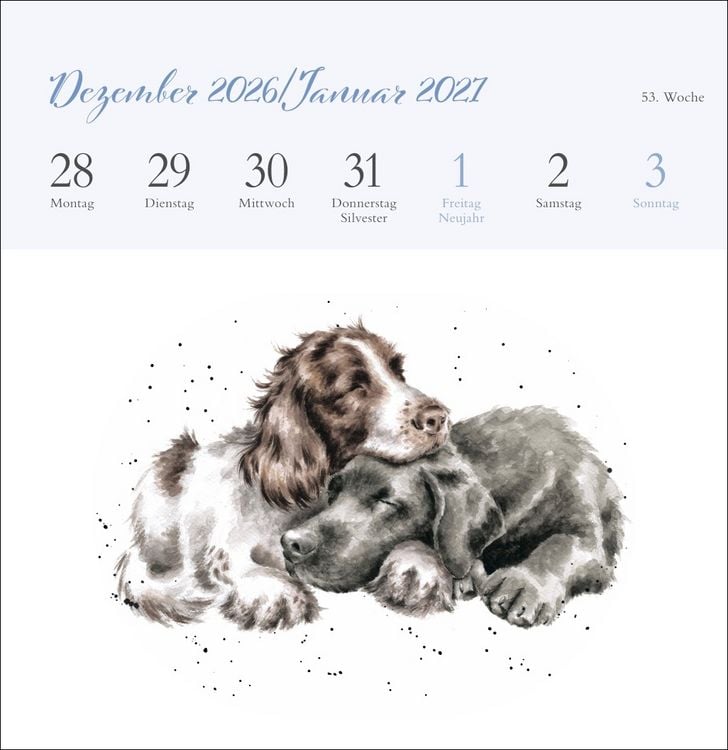 Produktbild: Hannah Dale: Happy Animals Premium-Postkartenkalender 2027