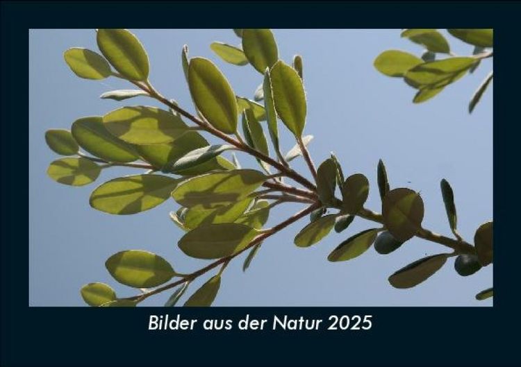 Produktbild: Bilder aus der Natur 2025 Fotokalender DIN A5