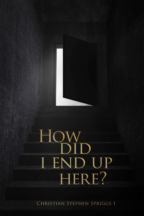 Produktbild: How Did I End up Here?